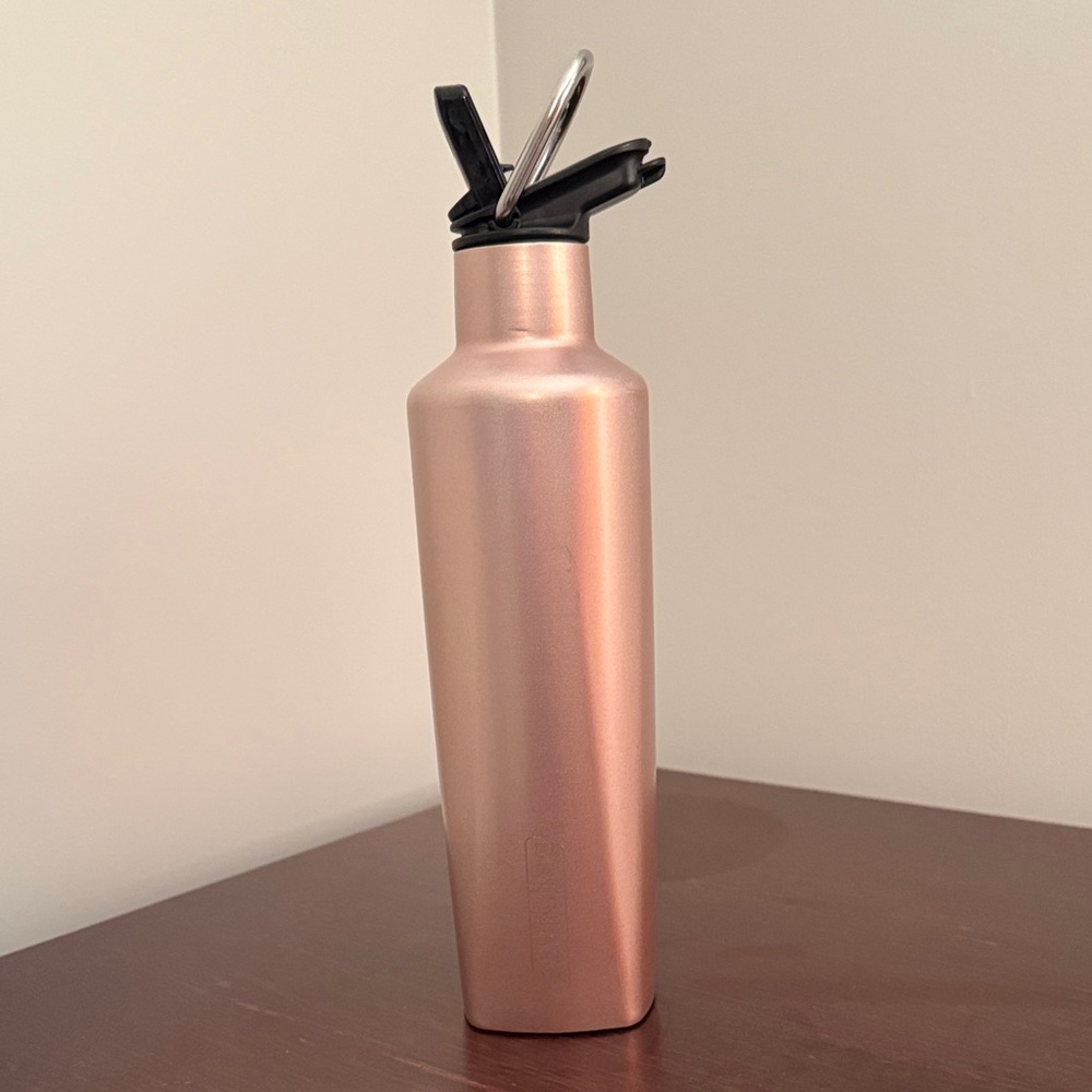 BruMate ReHydration stainless steel Bottle, 16 oz. Rose Gold Shimmer